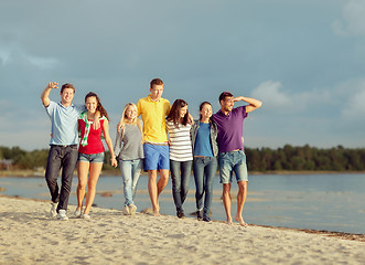 Image showing group of friends having fun on the beach