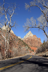 Image showing Zion Canyon