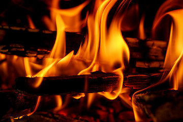 Image showing firewood burning in fireplace