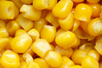 Image showing Close up yellow sweet corn