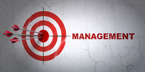 Image showing Finance concept: target and Management on wall background
