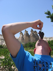 Image showing Man eating grapes in nature