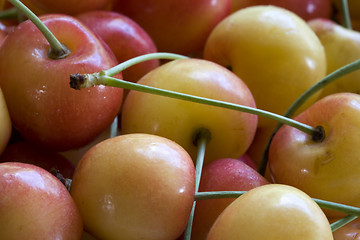 Image showing Life Is a Bowl of Cherries