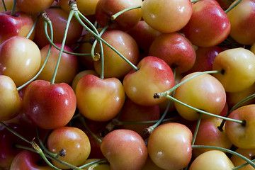 Image showing Life Is a Bowl of Cherries