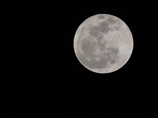 Image showing Full moon