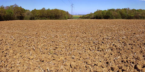 Image showing Agricultural land