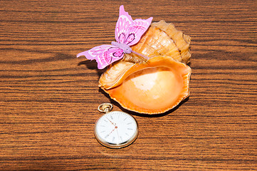 Image showing Seashell and watches