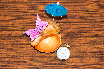 Image showing Seashell and watches