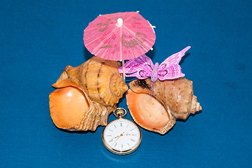 Image showing Seashell and watches