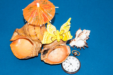 Image showing Seashell and watches