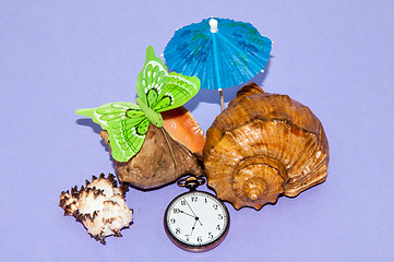 Image showing Seashell and watches