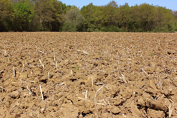 Image showing Agricultural land