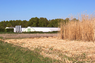 Image showing Organic farming