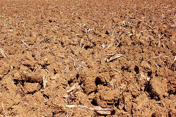 Image showing plowed land