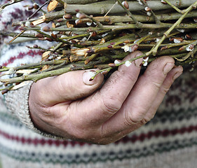 Image showing Old man hand