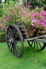 Image showing cart with full purple flower