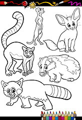 Image showing wild animals set for coloring book
