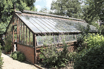 Image showing view outside a glasshouse