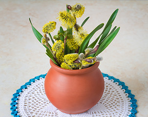 Image showing Blossoming branches of a willow in a ceramic vase