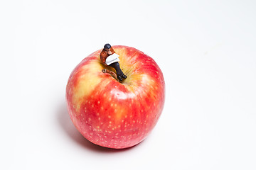 Image showing Miniature people in action sitting on an apple