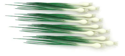 Image showing Green onion