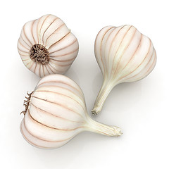 Image showing Head of garlic