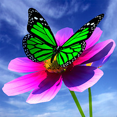 Image showing Beautiful Cosmos Flower and butterfly