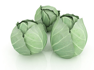 Image showing Green cabbage