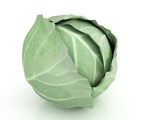 Image showing Green cabbage