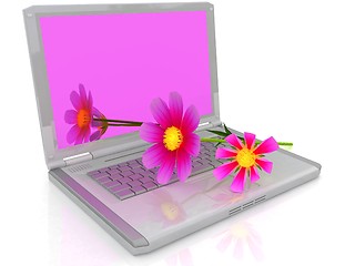 Image showing cosmos flower on laptop