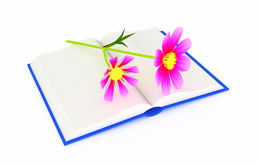 Image showing Wonderful flower cosmos and book