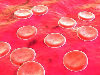 Image showing Blood cells