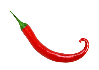 Image showing Single red fresh chilli-pepper