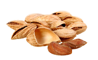 Image showing Heap of brown almond nuts