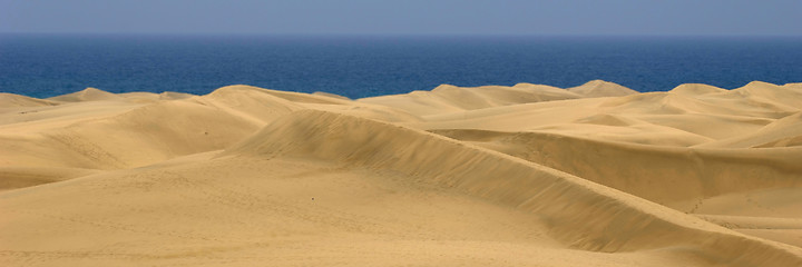 Image showing Sand dune panorama 1:3