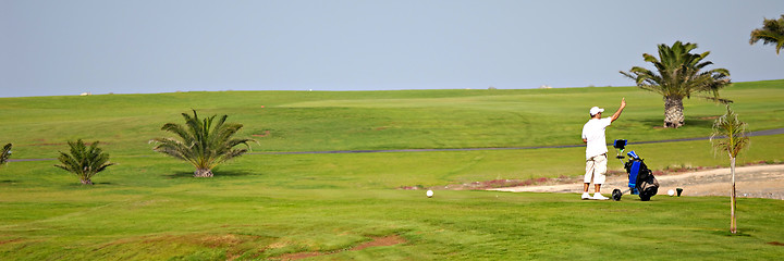 Image showing Golfer and palms