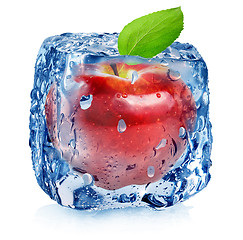 Image showing Red apple in ice