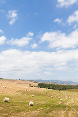 Image showing Tuscany country