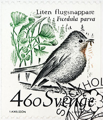 Image showing Flycatcher Stamp
