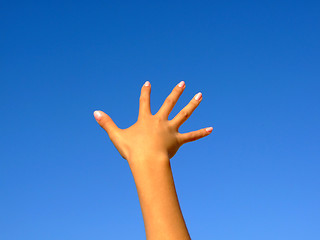 Image showing Female hand on a background of the blue sky