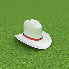 Image showing White hat with a red ribbon on a green grass background