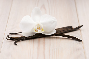 Image showing Vanilla pods and flower
