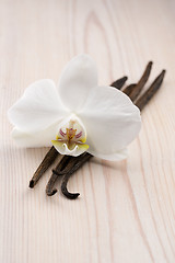 Image showing Vanilla pods and flower