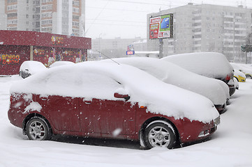 Image showing The cars brought by snow, stand on a road roadside.