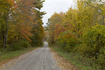 Image showing  Autumn, New England