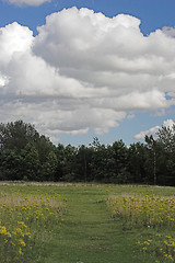 Image showing Meadow path