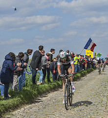 Image showing Niki Terpstra the Winner of Paris-Roubaix 2014