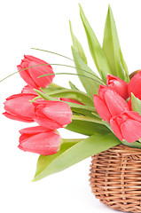 Image showing Spring Tulips