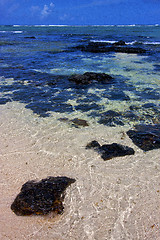 Image showing blue bay foam footstep indian ocean some   deus cocos in mauriti