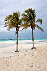 Image showing paradise  the  blue lagoon relax and boat    